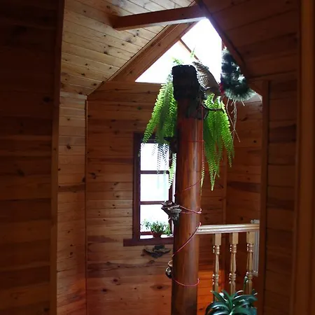 Girske Povitria Jaremcze